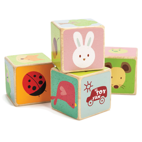 PL007 Little Leaf Wooden Blocks by Le Toy Van 004